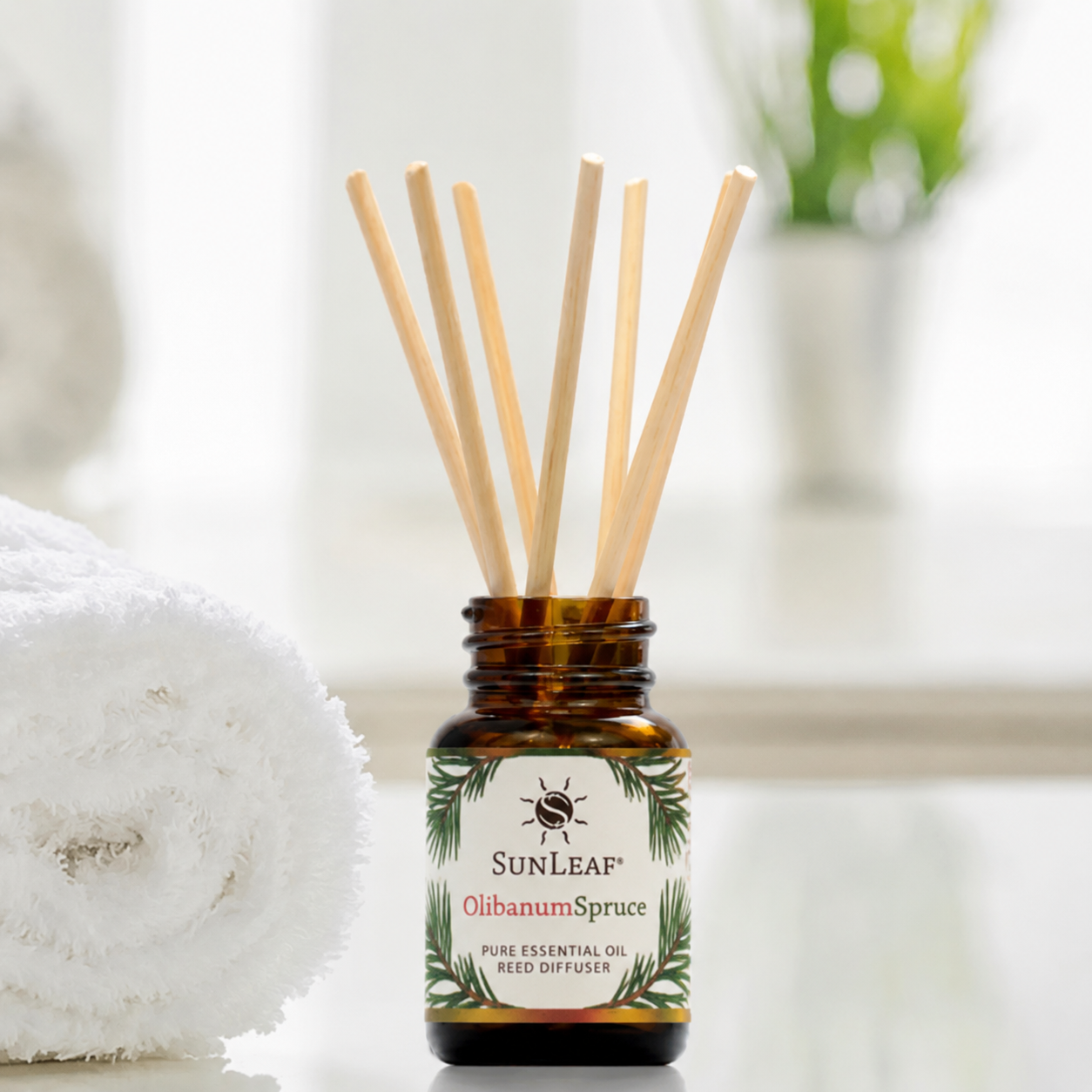 Olibanum Spruce Reed Diffuser 1oz