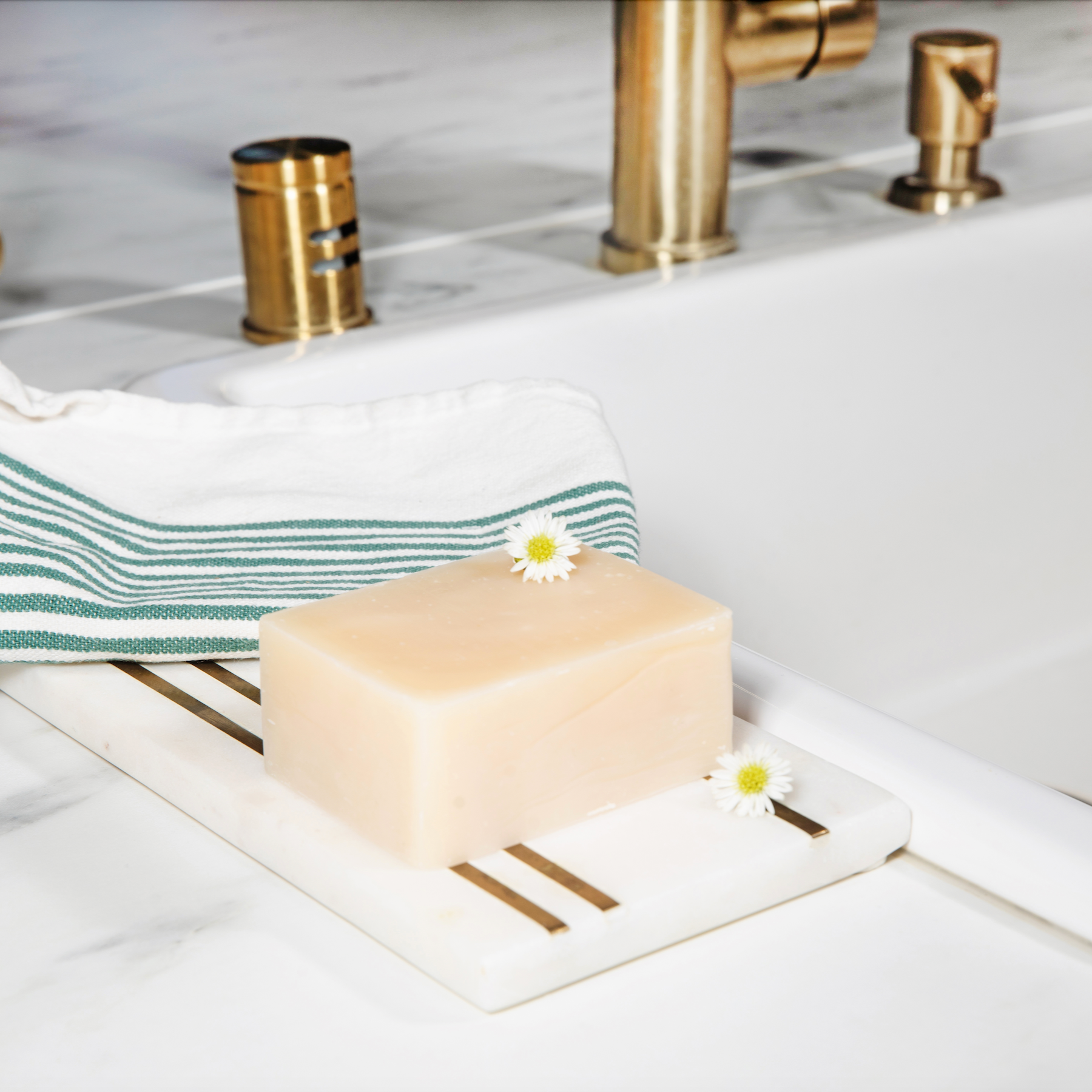 Solid Dish & Vegetable Soap